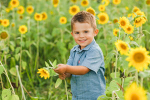 Summertime Family Photos in the WI Sunflower Fields | Becker Family