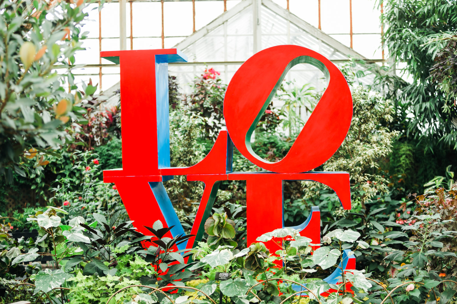 Lincoln Park Conservatory Wedding - janetdphotography.com