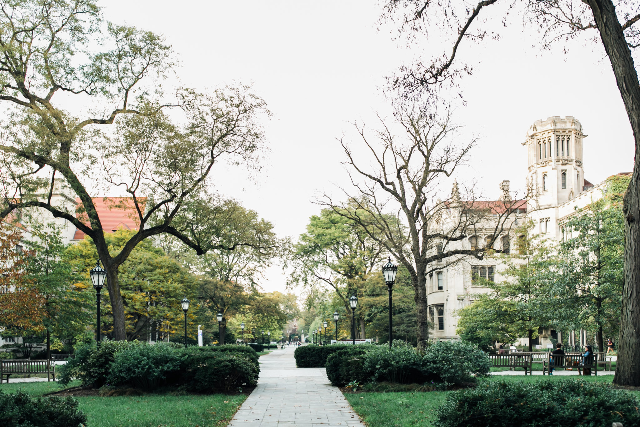 University Of Chicago Senior Photos - Janetdphotography.com